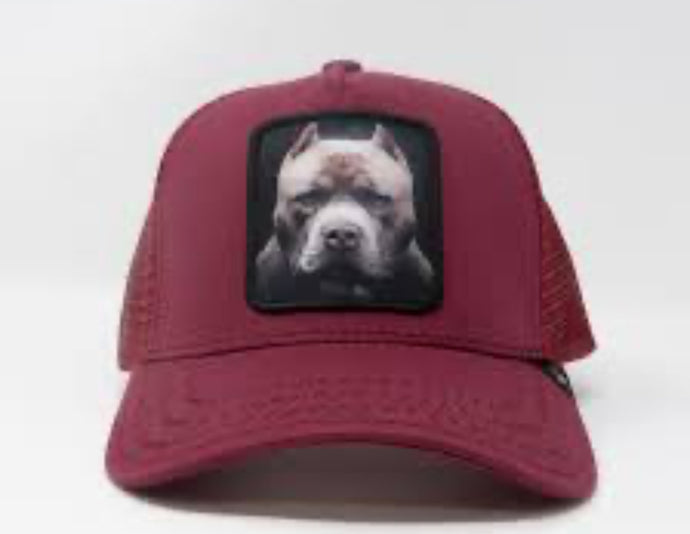 Burgundy Pitbull Trucker Hat