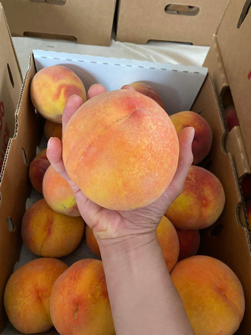 Palisade Peaches full box