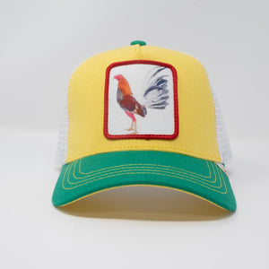 Yellow Green Multi Rooster Hat